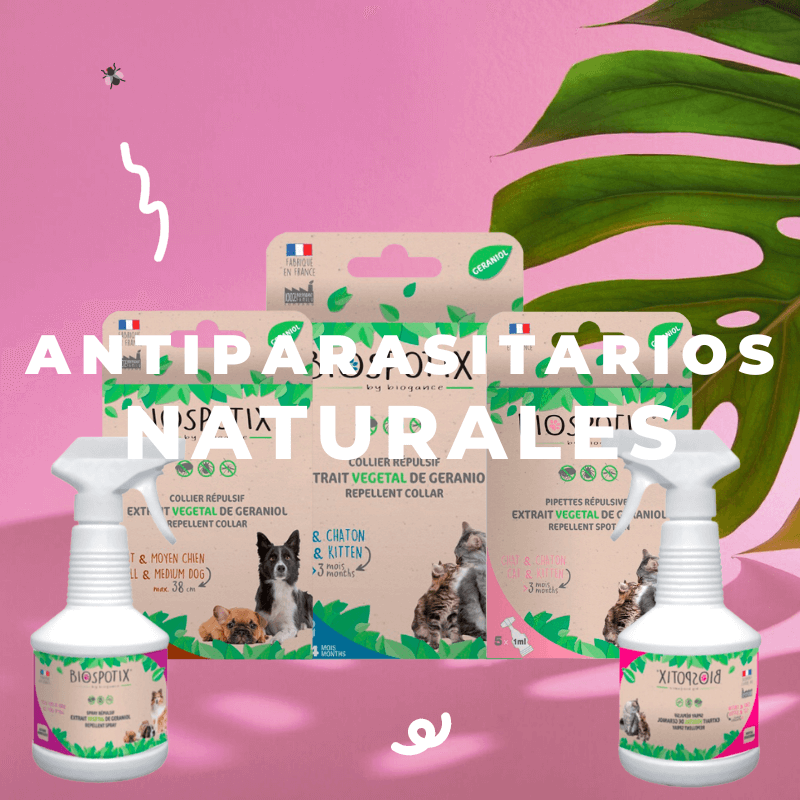 selección pampermut de antiparasitarios para gatos